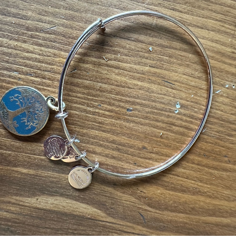 Rose Gold Alex and Ani Charm Bangle Bracelet
